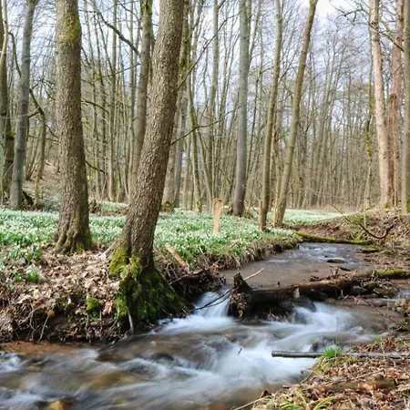 Lesni Plovarna By Interhome Апартаменты